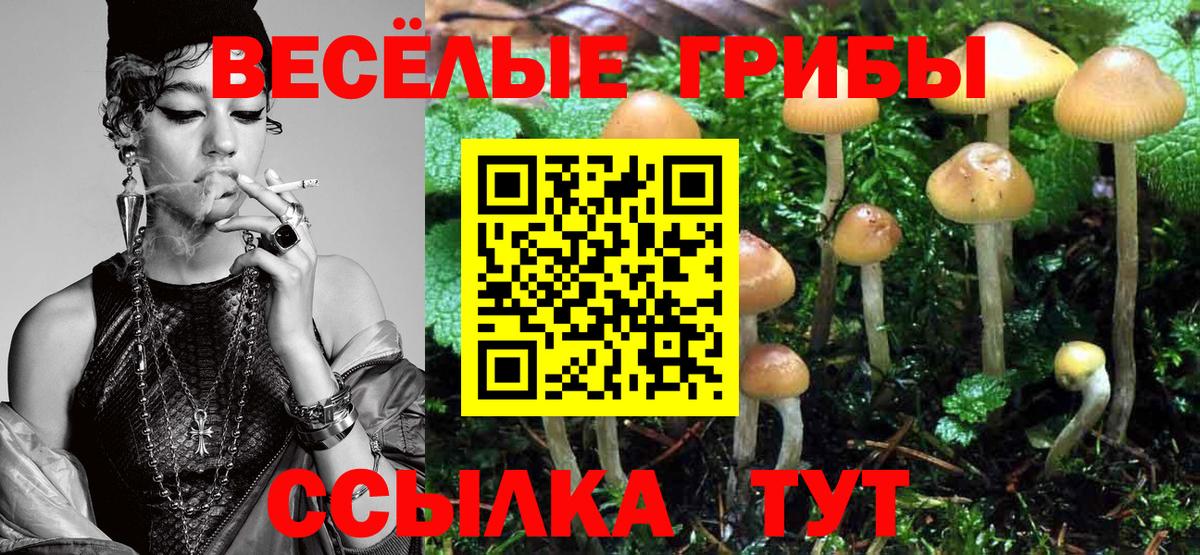 Галлюциногенные грибы GOLDEN TEACHER  Псилоцибиновые грибы Magic Shrooms  Благовещенск  Вход с VPN 