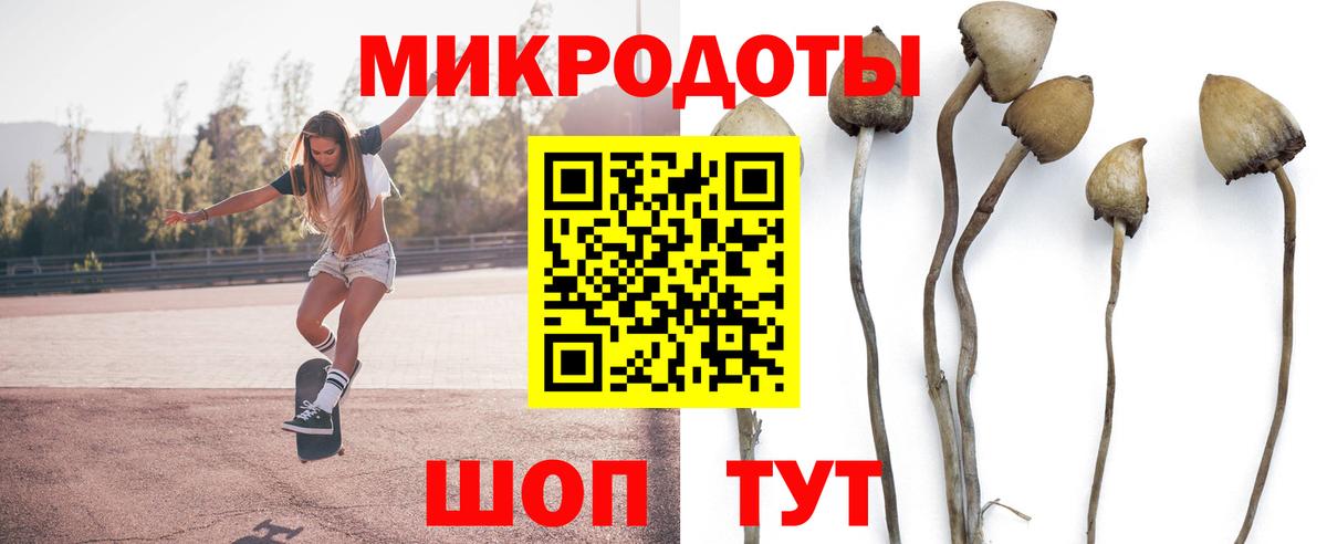 Галлюциногенные грибы Psilocybe Благовещенск